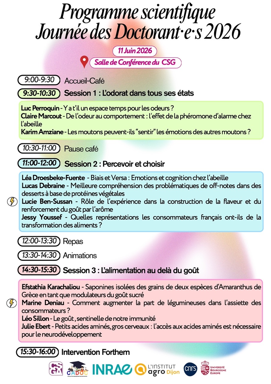 Programme JDD 2026