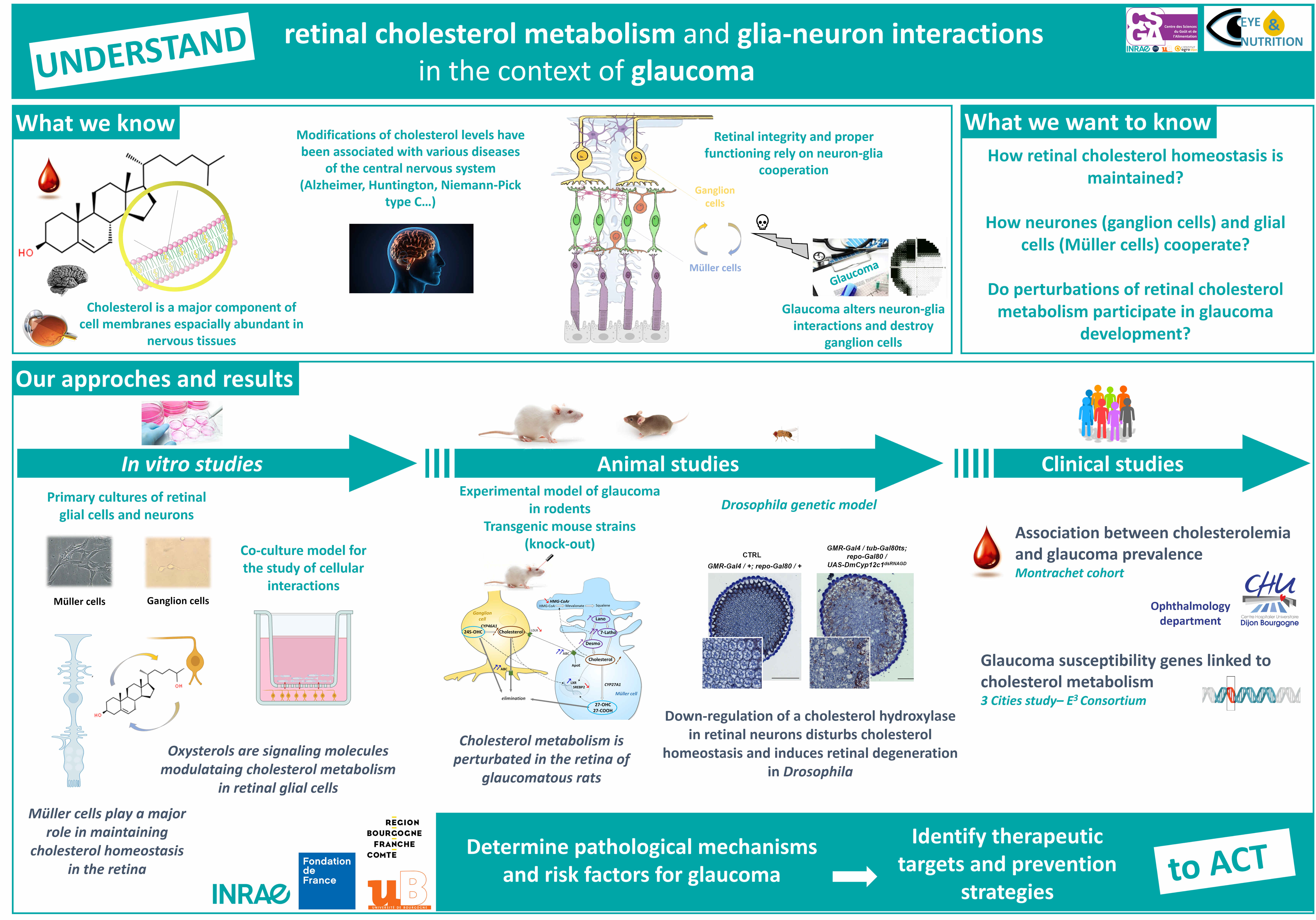 chol-glaucome-ENG.jpg